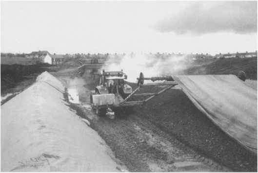 Bioremediation Background