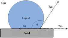 Angle Youngs Picture