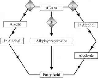 Branched Aliphatic Hydrocarbon